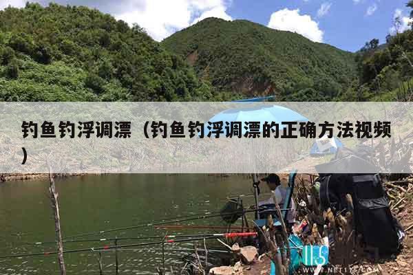 钓鱼钓浮调漂（钓鱼钓浮调漂的正确方法视频）