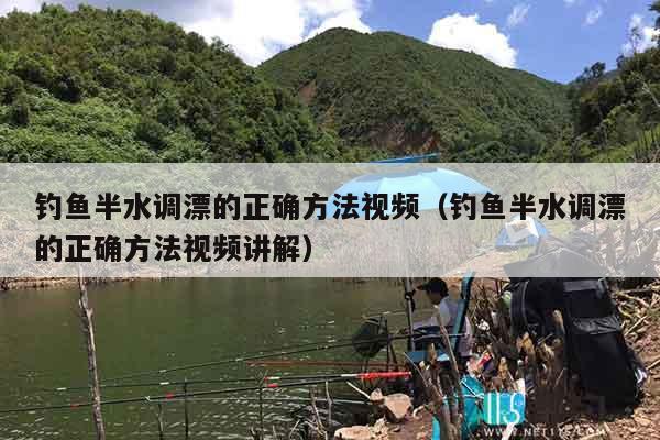 钓鱼半水调漂的正确方法视频（钓鱼半水调漂的正确方法视频讲解）