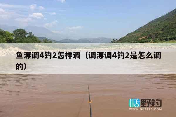 鱼漂调4钓2怎样调（调漂调4钓2是怎么调的）