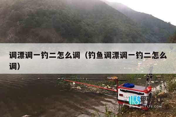 调漂调一钓二怎么调（钓鱼调漂调一钓二怎么调）