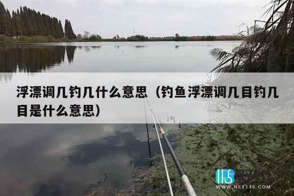 浮漂调几钓几什么意思（钓鱼浮漂调几目钓几目是什么意思）