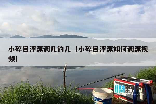 小碎目浮漂调几钓几（小碎目浮漂如何调漂视频）