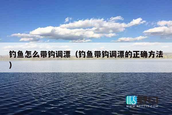 钓鱼怎么带钩调漂（钓鱼带钩调漂的正确方法）
