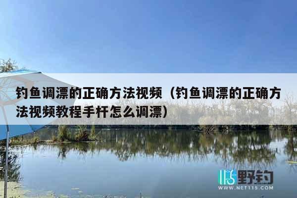 钓鱼调漂的正确方法视频（钓鱼调漂的正确方法视频教程手杆怎么调漂）