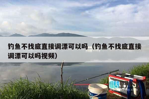 钓鱼不找底直接调漂可以吗（钓鱼不找底直接调漂可以吗视频）