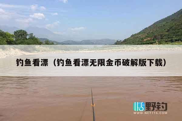 钓鱼看漂（钓鱼看漂无限金币破解版下载）