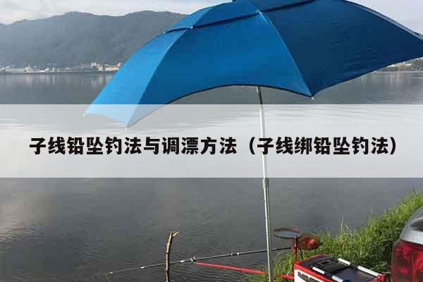 子线铅坠钓法与调漂方法（子线绑铅坠钓法）