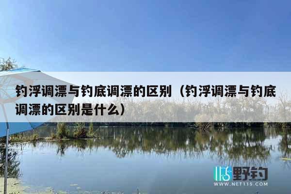 钓浮调漂与钓底调漂的区别（钓浮调漂与钓底调漂的区别是什么）