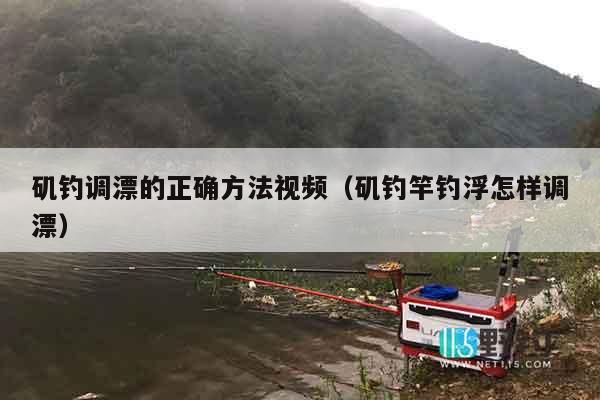 矶钓调漂的正确方法视频（矶钓竿钓浮怎样调漂）