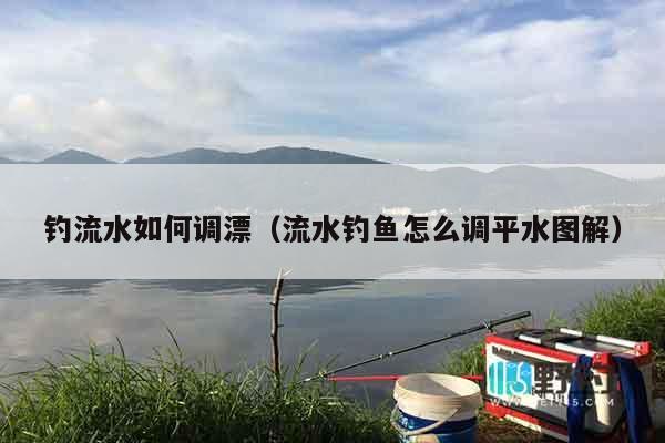 钓流水如何调漂（流水钓鱼怎么调平水图解）