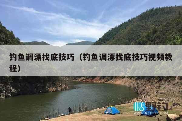 钓鱼调漂找底技巧（钓鱼调漂找底技巧视频教程）