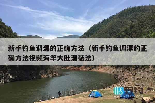 新手钓鱼调漂的正确方法（新手钓鱼调漂的正确方法视频海竿大肚漂装法）