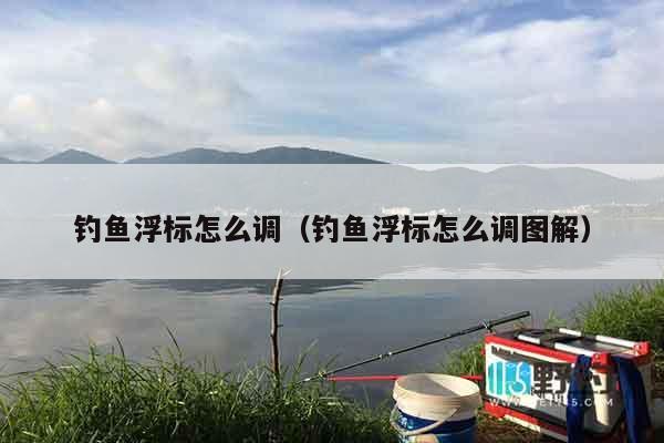 钓鱼浮标怎么调（钓鱼浮标怎么调图解）