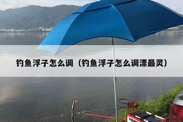 钓鱼浮子怎么调（钓鱼浮子怎么调漂最灵）