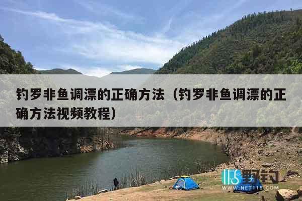 钓罗非鱼调漂的正确方法（钓罗非鱼调漂的正确方法视频教程）