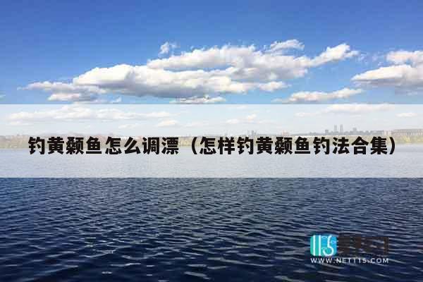 钓黄颡鱼怎么调漂（怎样钓黄颡鱼钓法合集）