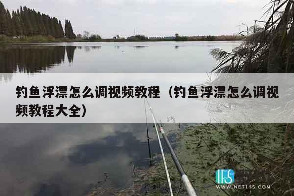 钓鱼浮漂怎么调视频教程（钓鱼浮漂怎么调视频教程大全）