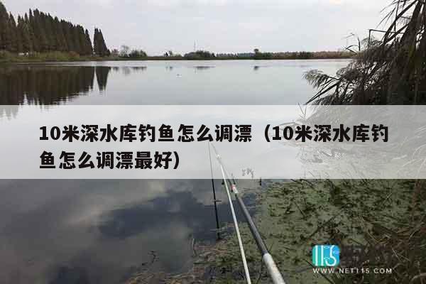 10米深水库钓鱼怎么调漂（10米深水库钓鱼怎么调漂最好）
