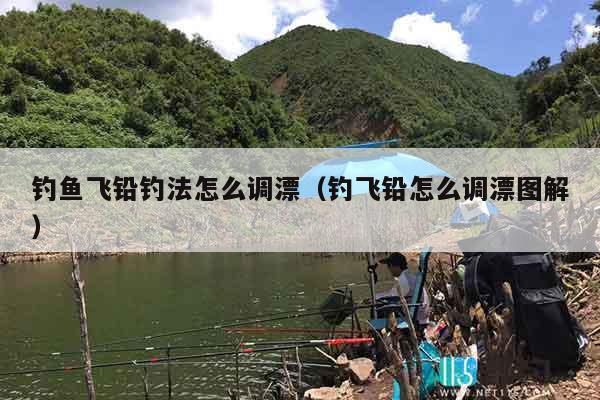 钓鱼飞铅钓法怎么调漂（钓飞铅怎么调漂图解）