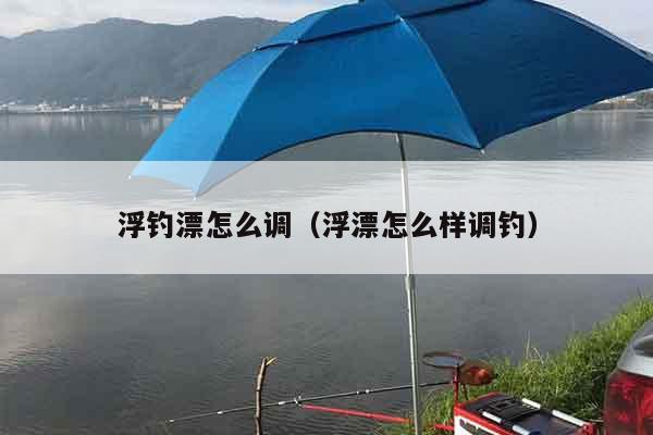 浮钓漂怎么调（浮漂怎么样调钓）