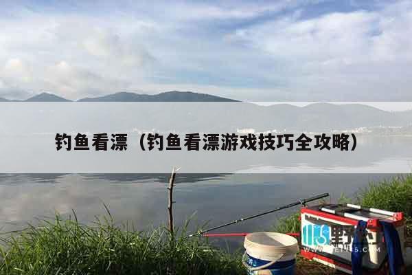 钓鱼看漂（钓鱼看漂游戏技巧全攻略）