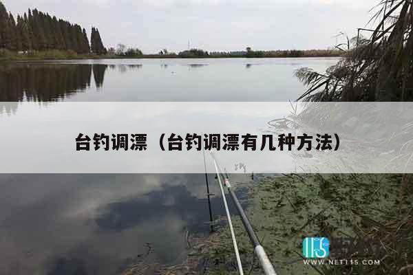 台钓调漂（台钓调漂有几种方法）