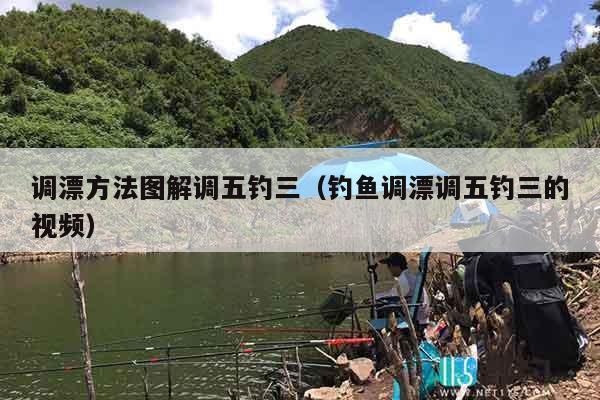 调漂方法图解调五钓三（钓鱼调漂调五钓三的视频）