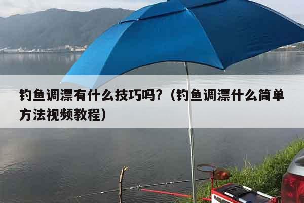 钓鱼调漂有什么技巧吗?（钓鱼调漂什么简单方法视频教程）