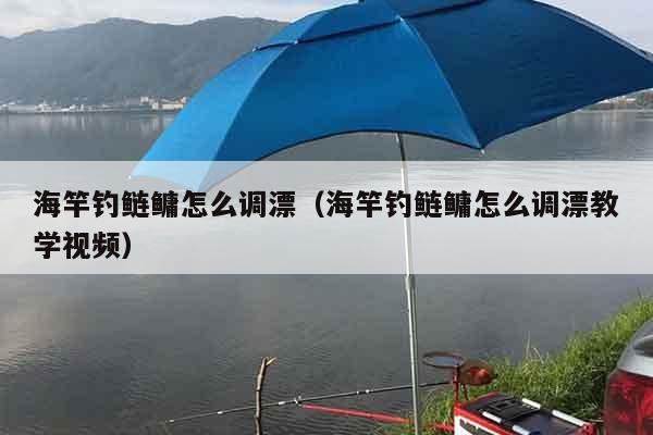 海竿钓鲢鳙怎么调漂（海竿钓鲢鳙怎么调漂教学视频）