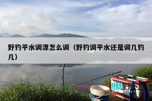 野钓平水调漂怎么调（野钓调平水还是调几钓几）