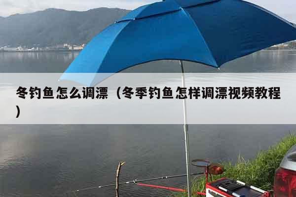 冬钓鱼怎么调漂（冬季钓鱼怎样调漂视频教程）