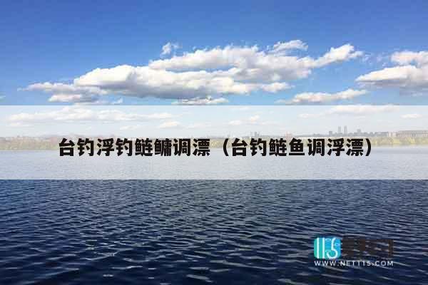 台钓浮钓鲢鳙调漂（台钓鲢鱼调浮漂）