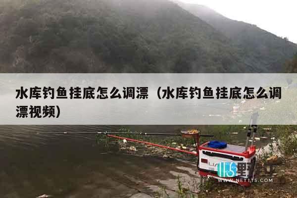 水库钓鱼挂底怎么调漂（水库钓鱼挂底怎么调漂视频）