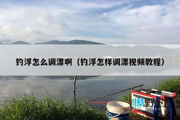 钓浮怎么调漂啊（钓浮怎样调漂视频教程）