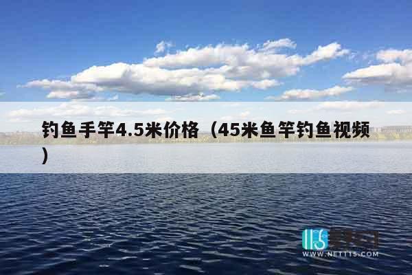 钓鱼手竿4.5米价格（45米鱼竿钓鱼视频）