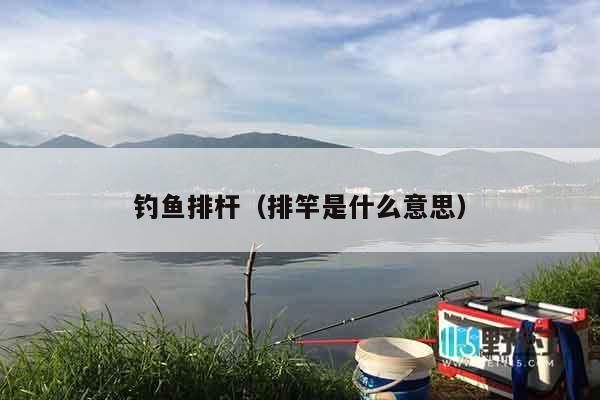 钓鱼排杆（排竿是什么意思）