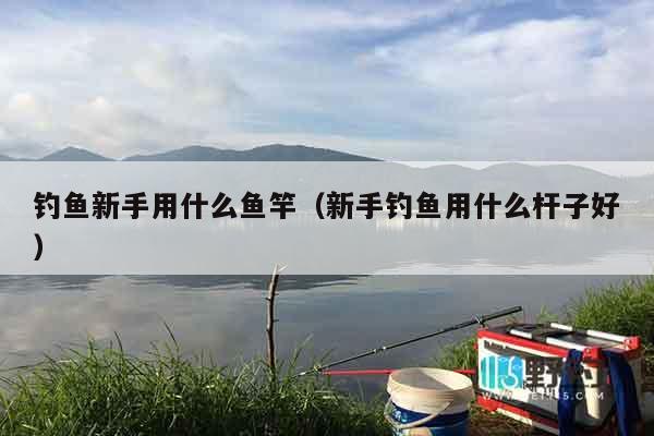 钓鱼新手用什么鱼竿（新手钓鱼用什么杆子好）