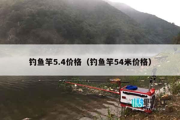 钓鱼竿5.4价格（钓鱼竿54米价格）