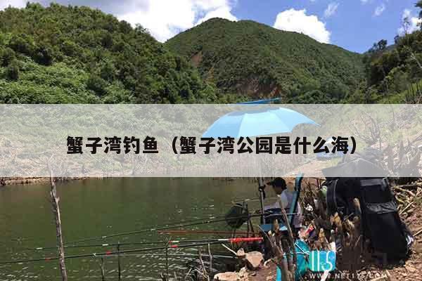 蟹子湾钓鱼（蟹子湾公园是什么海）