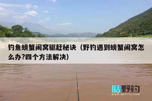 钓鱼螃蟹闹窝驱赶秘诀（野钓遇到螃蟹闹窝怎么办?四个方法解决）