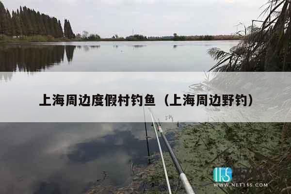 上海周边度假村钓鱼（上海周边野钓）