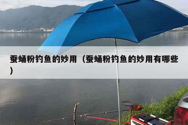 蚕蛹粉钓鱼的妙用（蚕蛹粉钓鱼的妙用有哪些）