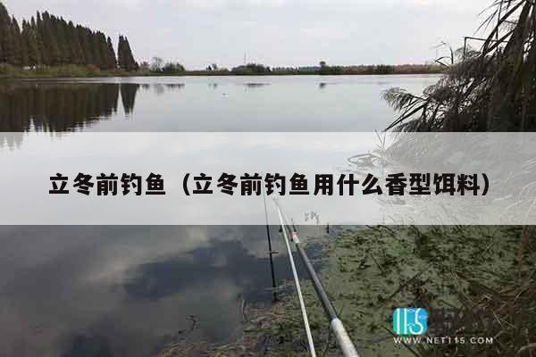 立冬前钓鱼（立冬前钓鱼用什么香型饵料）