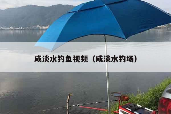 咸淡水钓鱼视频（咸淡水钓场）