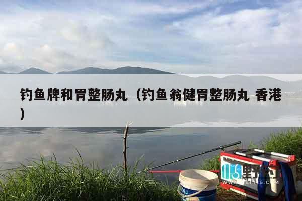 钓鱼牌和胃整肠丸（钓鱼翁健胃整肠丸 香港）