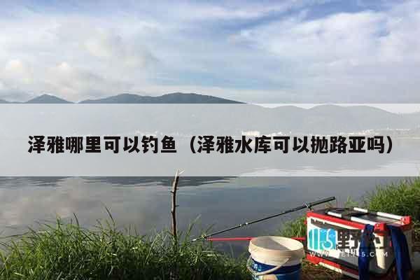 泽雅哪里可以钓鱼（泽雅水库可以抛路亚吗）