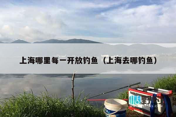 上海哪里每一开放钓鱼（上海去哪钓鱼）