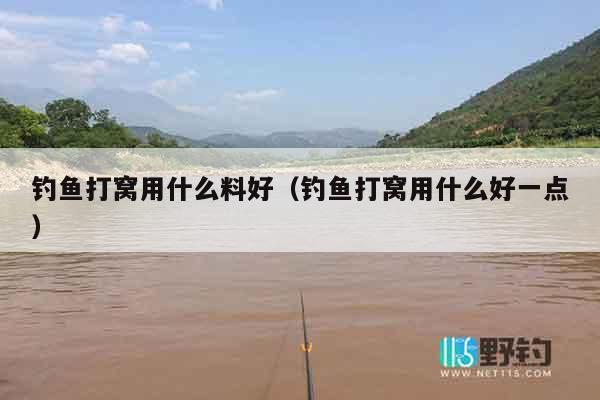钓鱼打窝用什么料好（钓鱼打窝用什么好一点）