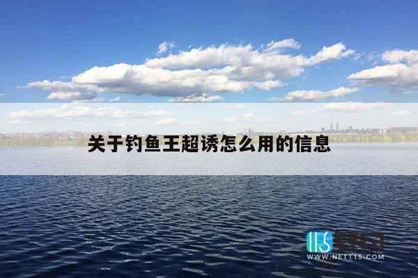 关于钓鱼王超诱怎么用的信息