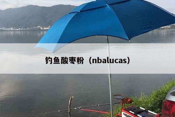 钓鱼酸枣粉（nbalucas）